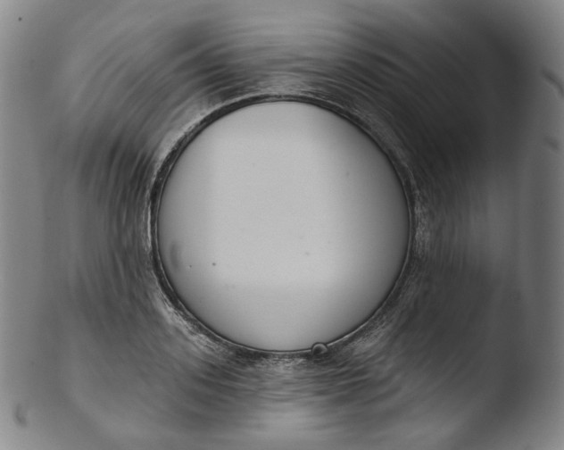 X0000103440939200809261751