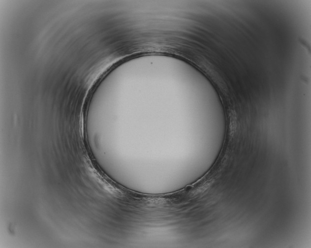 X0000103440940200809261751