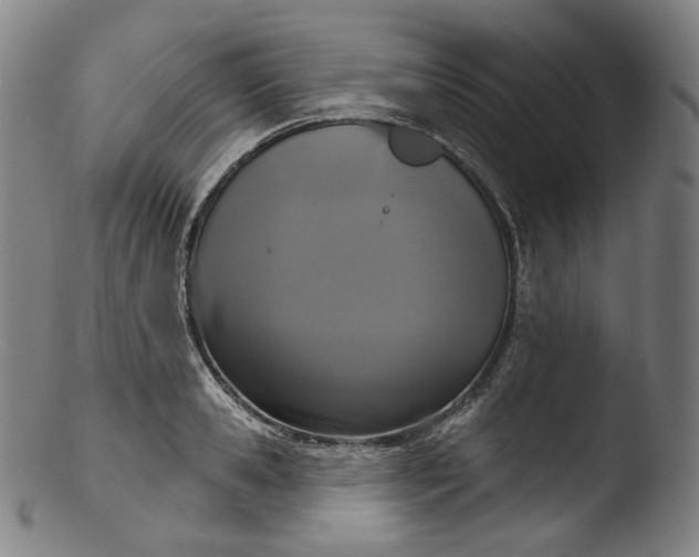 X0000103440941200809261751