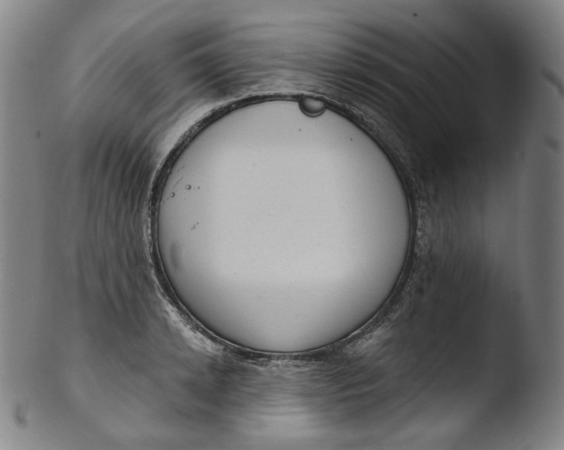 X0000103440942200809261751