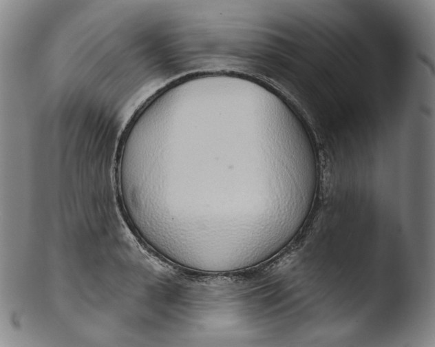 X0000103440943200809261751