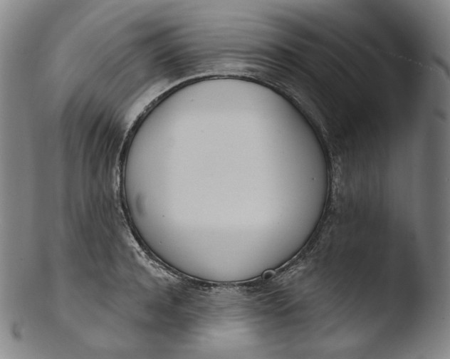 X0000103440944200809261751