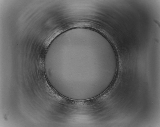 X0000103440945200809261751