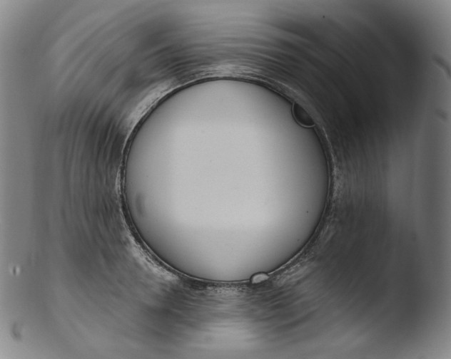 X0000103440946200809261751