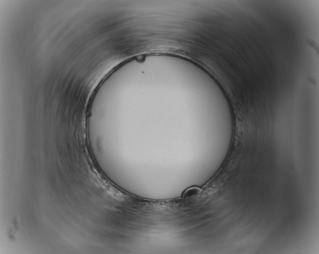 X0000103440948200809261751