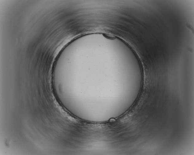 X0000103440949200809261751