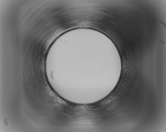 X0000103440950200809261751