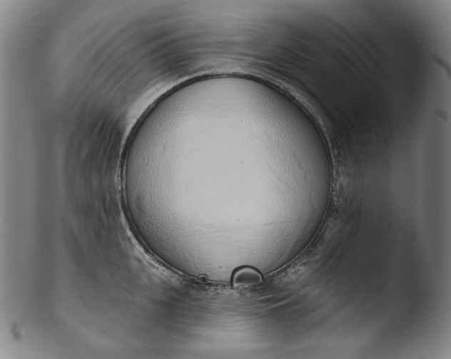 X0000103440951200809261751
