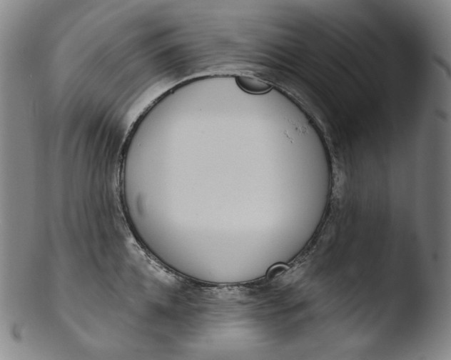 X0000103440952200809261751