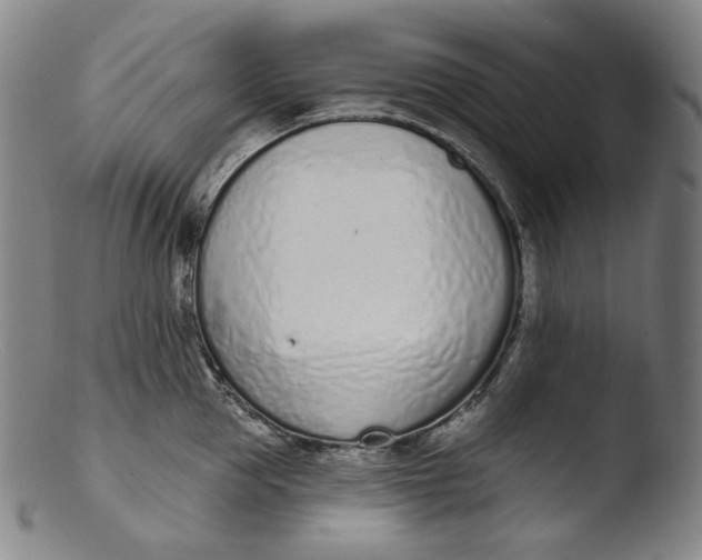 X0000103440953200809261751
