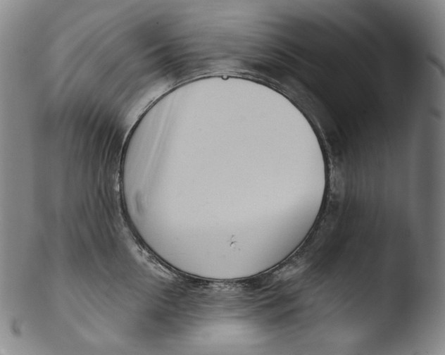 X0000103440954200809261751