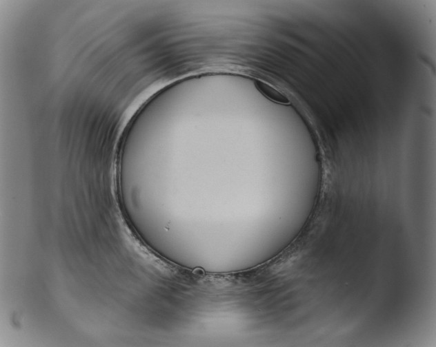 X0000103440955200809261751