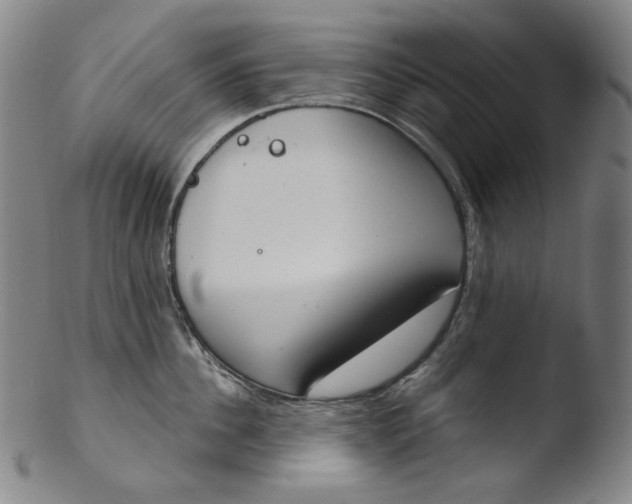 X0000103440956200809261751