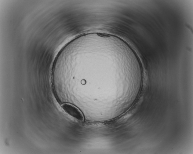 X0000103440957200809261751