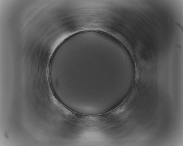 X0000103440958200809261751