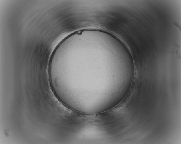 X0000103440959200809261751