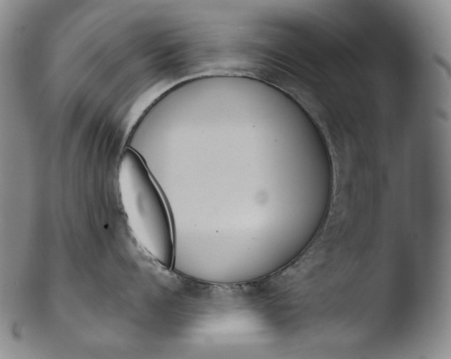X0000103440960200809261751