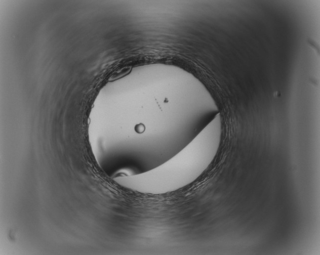 X0000103440961200809261750