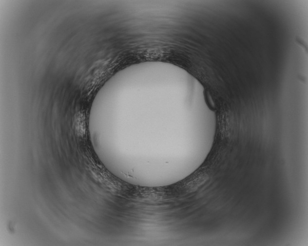 X0000103440962200809261750
