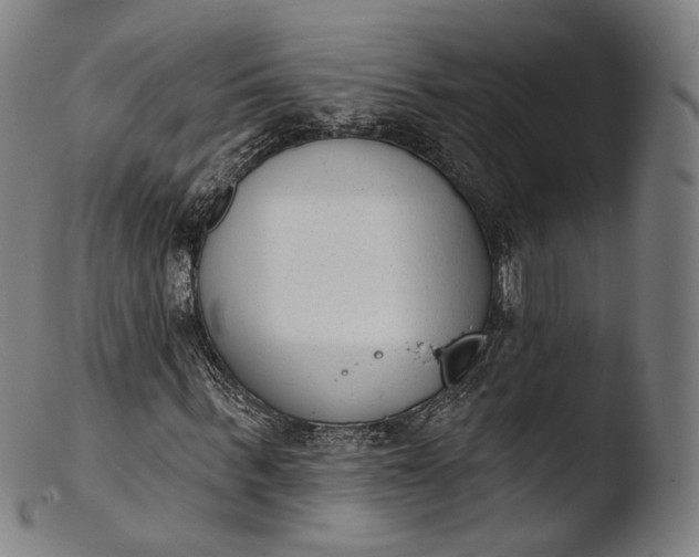 X0000103440963200809261750