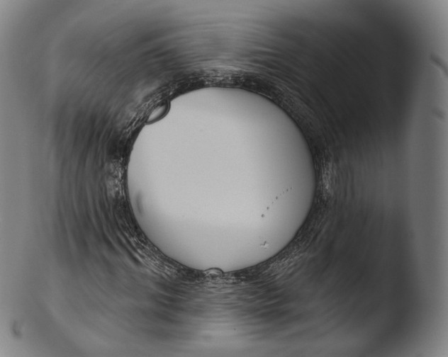X0000103440964200809261750