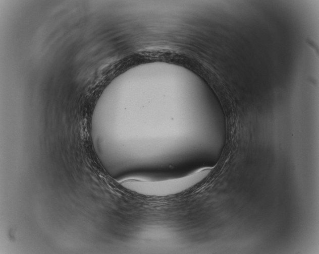 X0000103440965200809261750