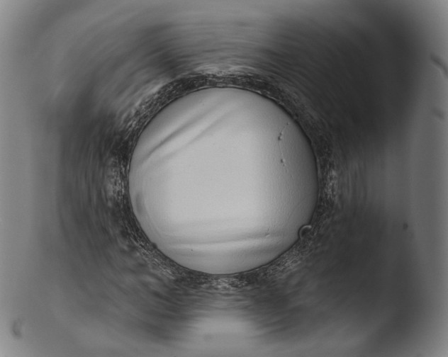 X0000103440966200809261750