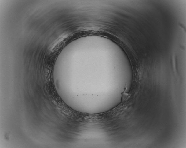 X0000103440967200809261750