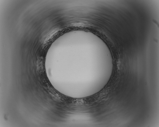 X0000103440968200809261750