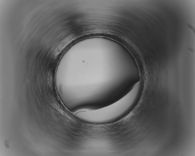 X0000103440969200809261750