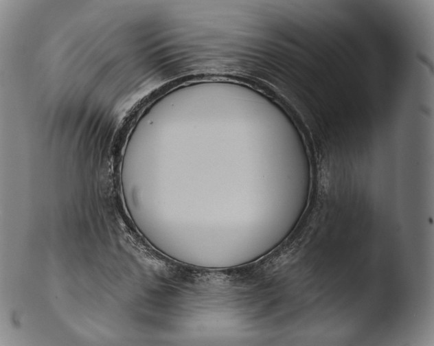 X0000103440971200809261750