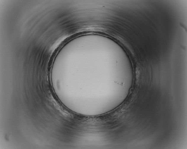X0000103440972200809261750