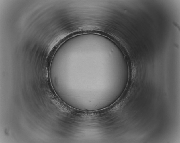 X0000103440973200809261750