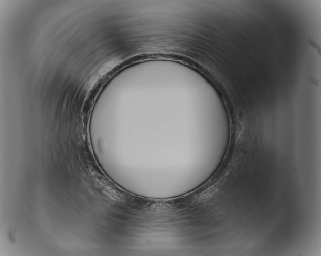 X0000103440974200809261750