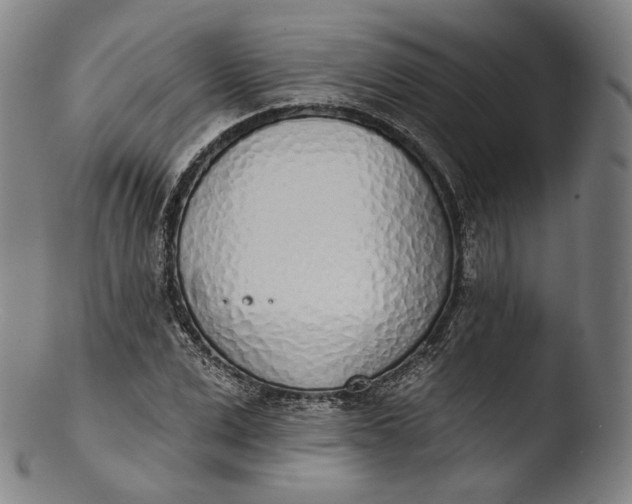 X0000103440975200809261750
