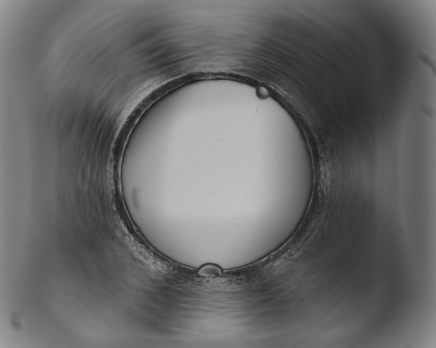 X0000103440976200809261750
