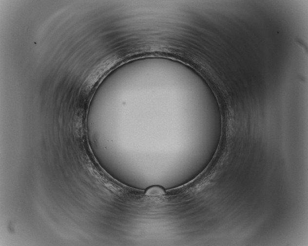 X0000103440977200809261750