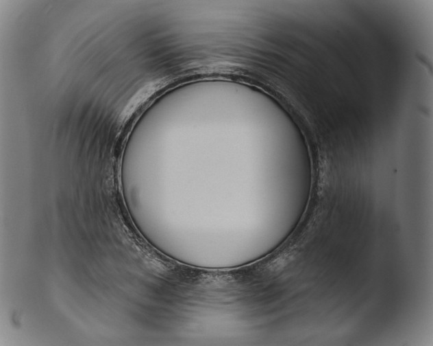 X0000103440978200809261750