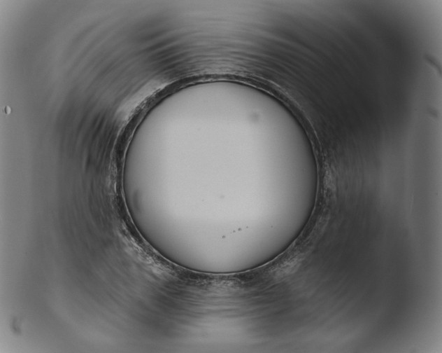 X0000103440979200809261750