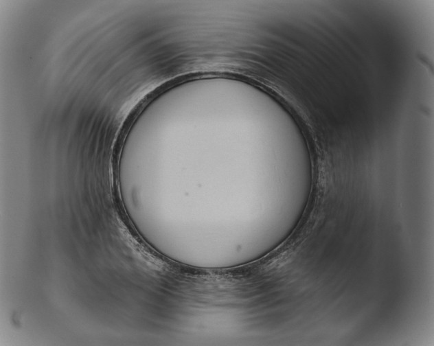 X0000103440980200809261750