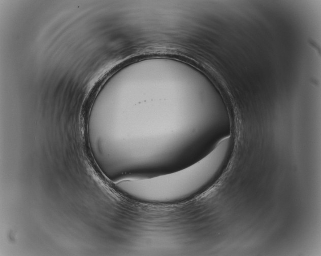 X0000103440981200809261750