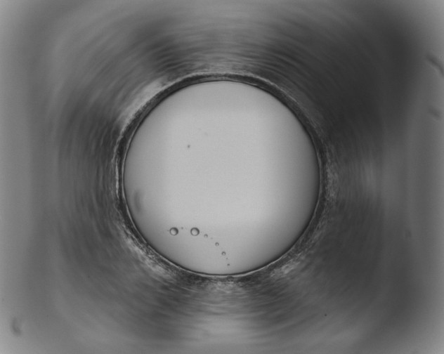 X0000103440982200809261750