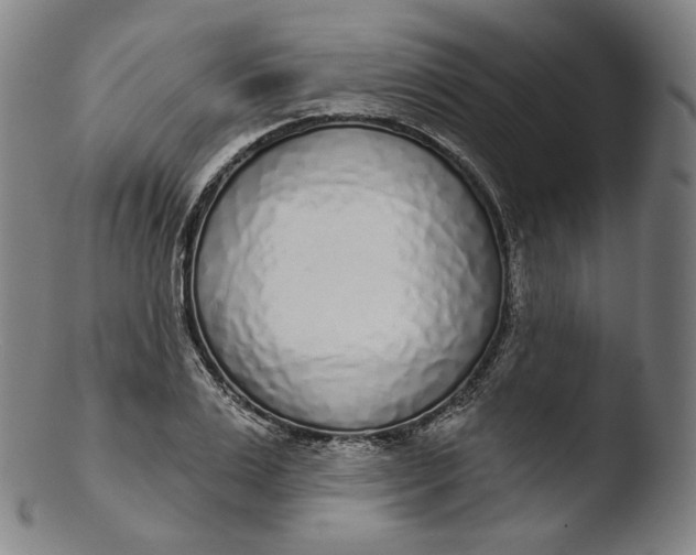 X0000103440983200809261750