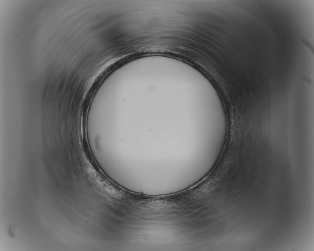 X0000103440984200809261750