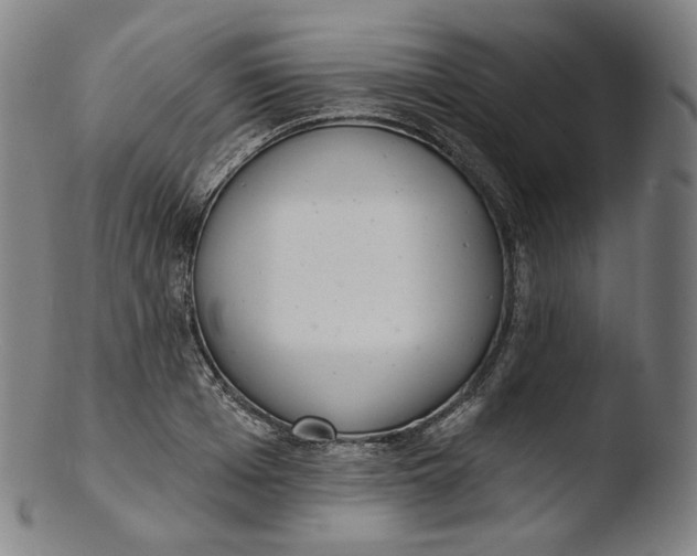 X0000103440985200809261750