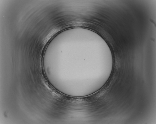 X0000103440986200809261750