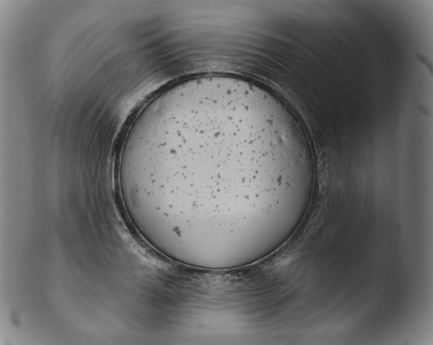 X0000103440987200809261750