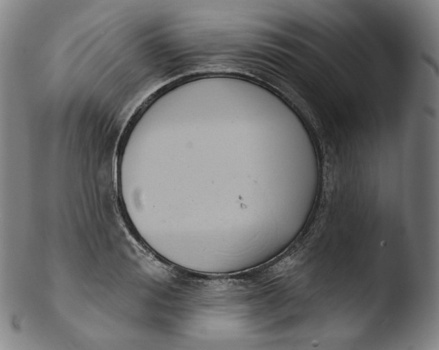 X0000103440988200809261750