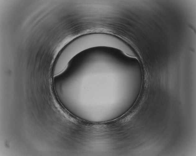 X0000103440989200809261750