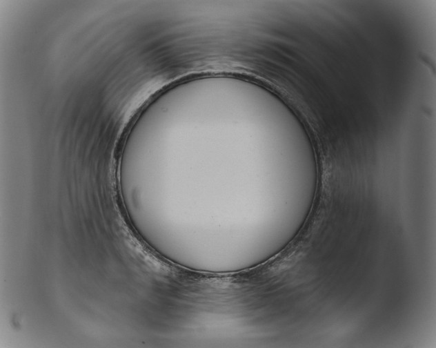 X0000103440990200809261750
